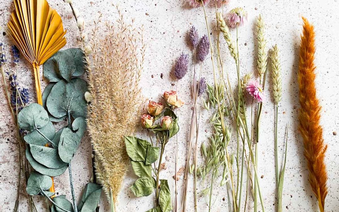 5 herbs to help you cope with low mood, stress and more